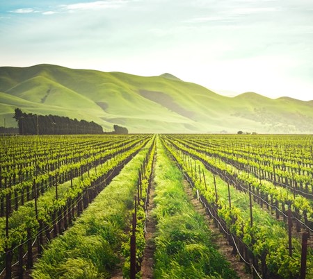 tax breaks and hobby farming