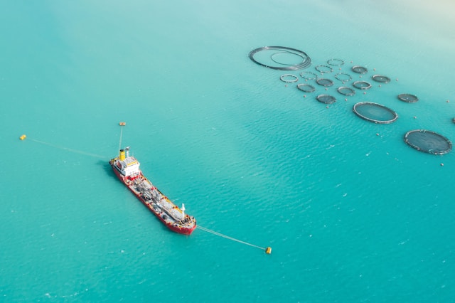 sustainable aquaculture